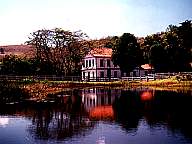 Fazenda Serrote - Sto Antônio Aventureiro - MG