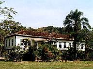 Fazenda  Monte Alegre - Além Paraíba - MG