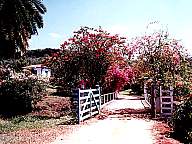 Fazenda Barra do Peixe - Além Paraíba - MG