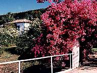 Fazenda Barra do Peixe - Além Paraíba - MG